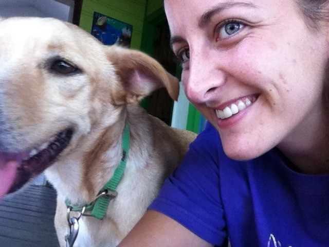 Roatan rescue dog