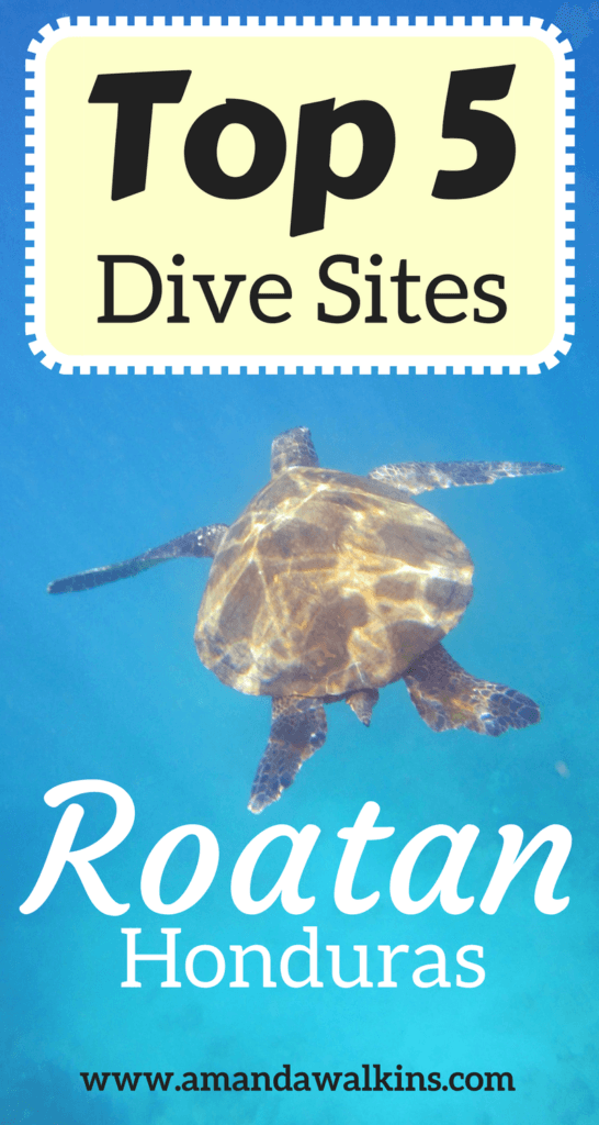 The best dive sites in Roatan as selected by industry pros
