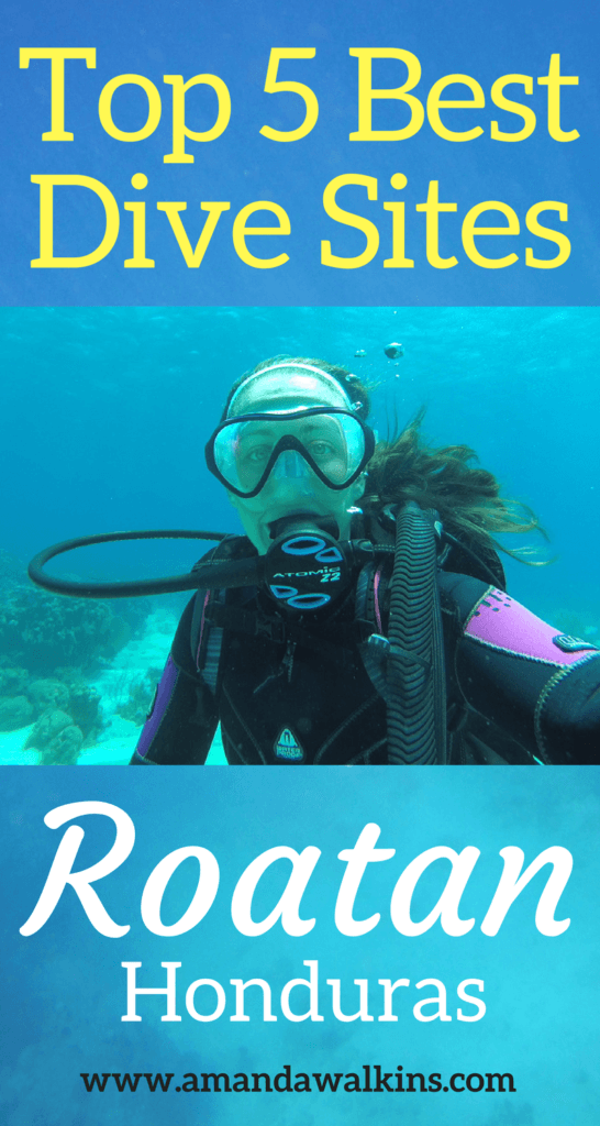 Top 5 dive sites in Roatan chosen by the professionals who live there.