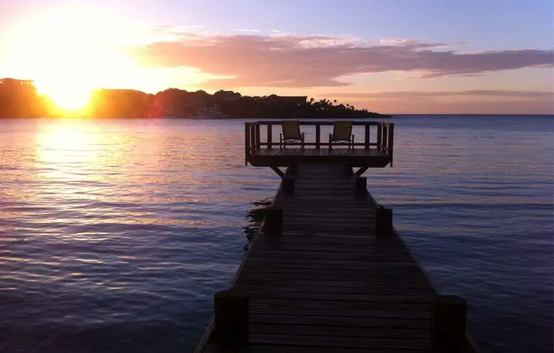 expats explore their new homes