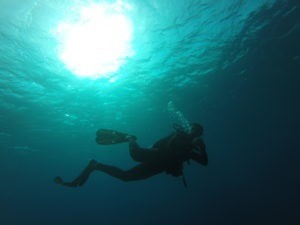 Caribbean dive instructor