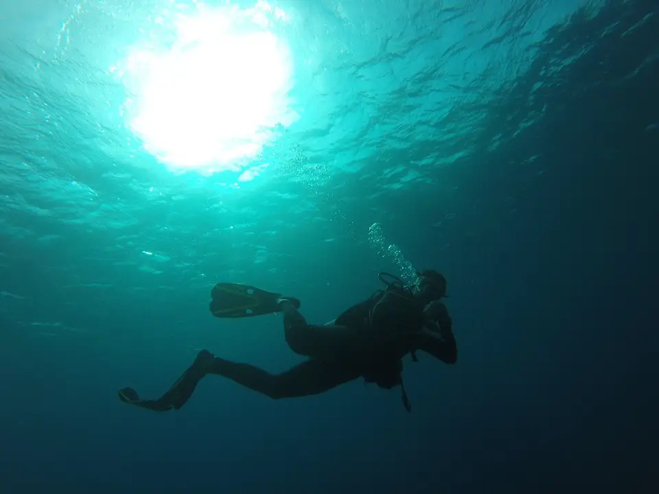 Caribbean dive instructor