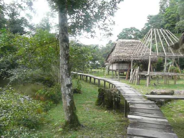 Amazon adventure in Ecuador