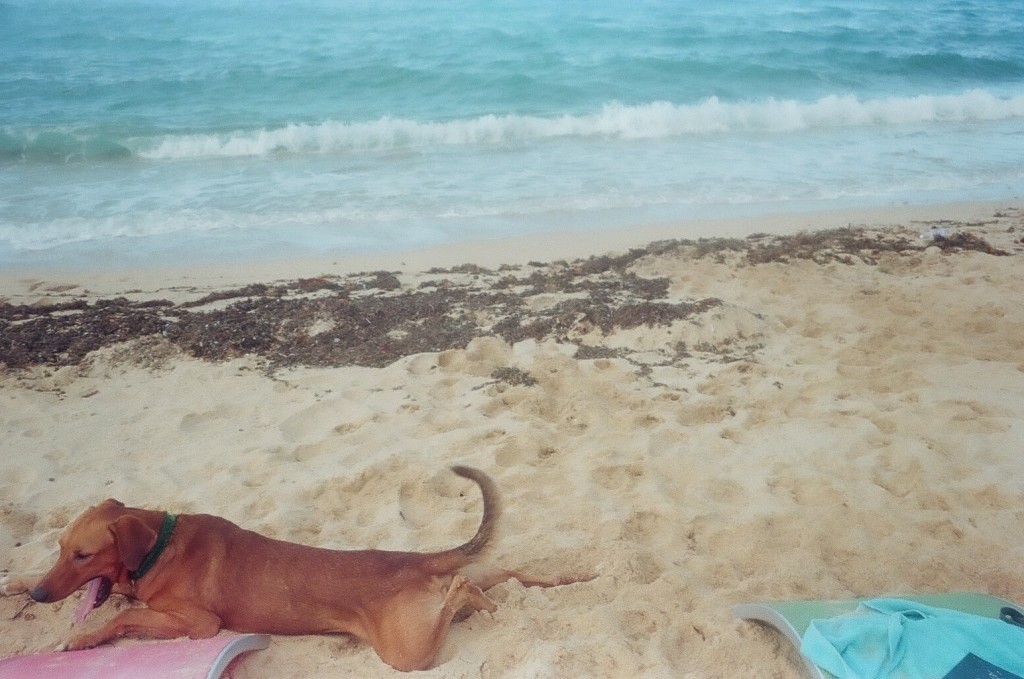 Jamaica travel