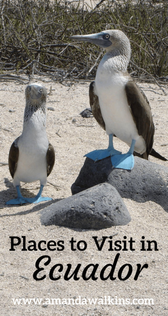 Visit the Galapagos, the Amazon, and the Pacific Coast of Ecuador.