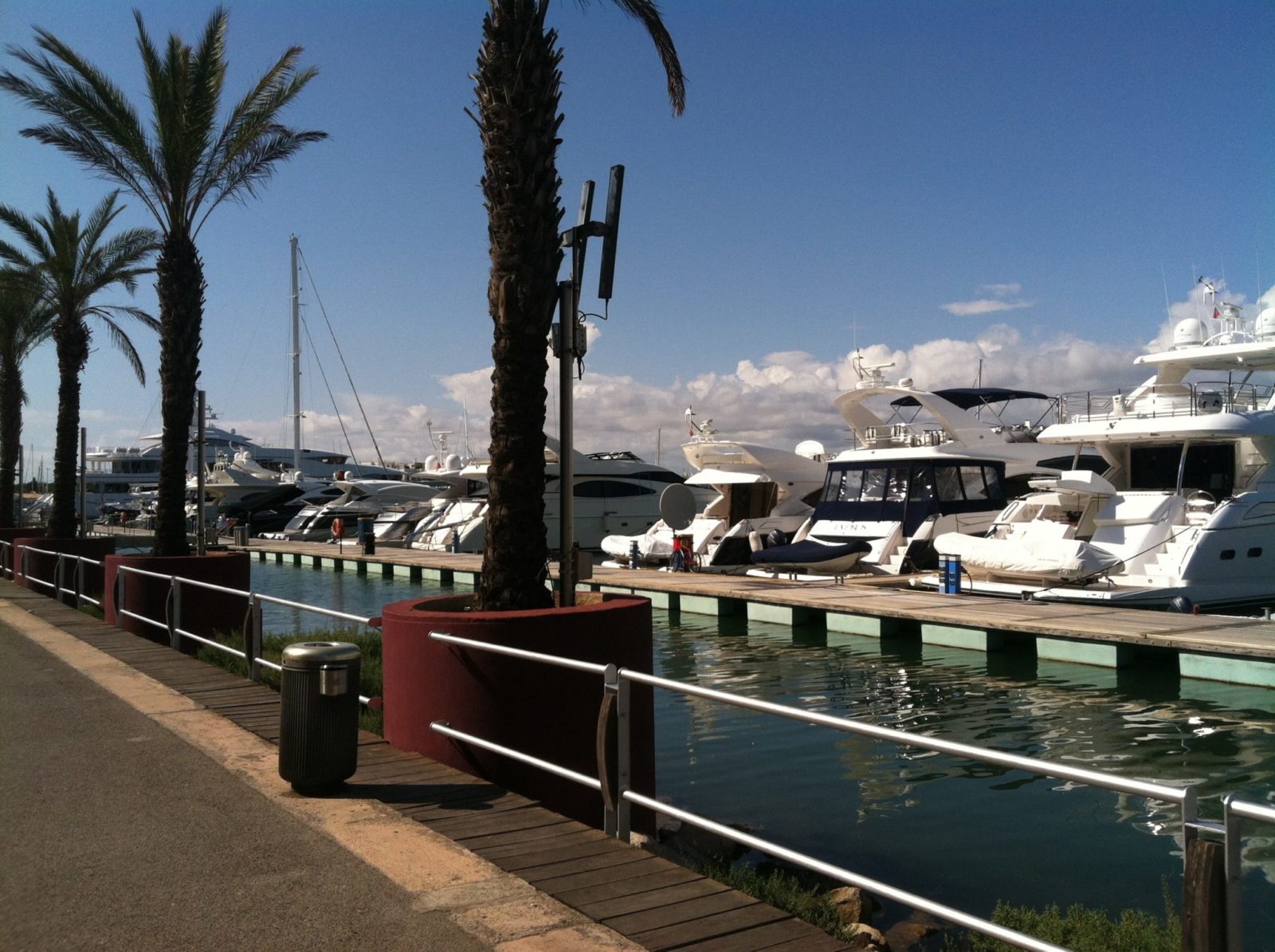 Marina Vilamoura Amanda Walkins