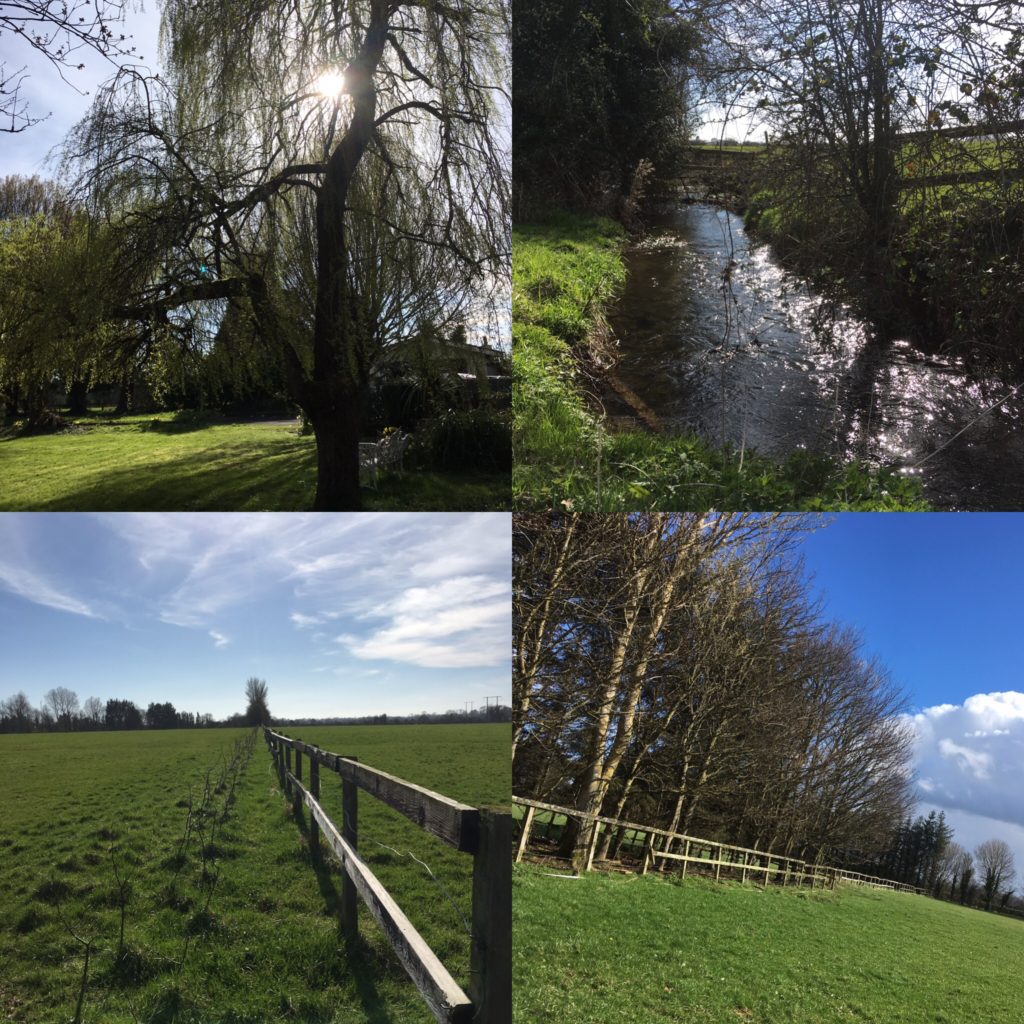 Irish countryside views