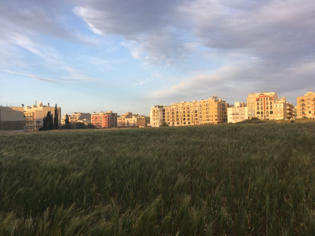 Malta fields and apartment blocks