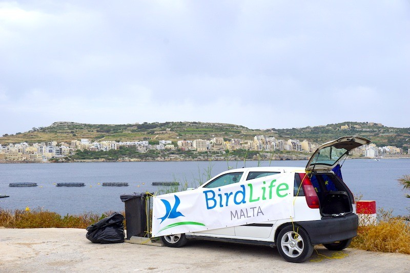 BirdLife Malta organized a coastal cleanup in Mistra Bay