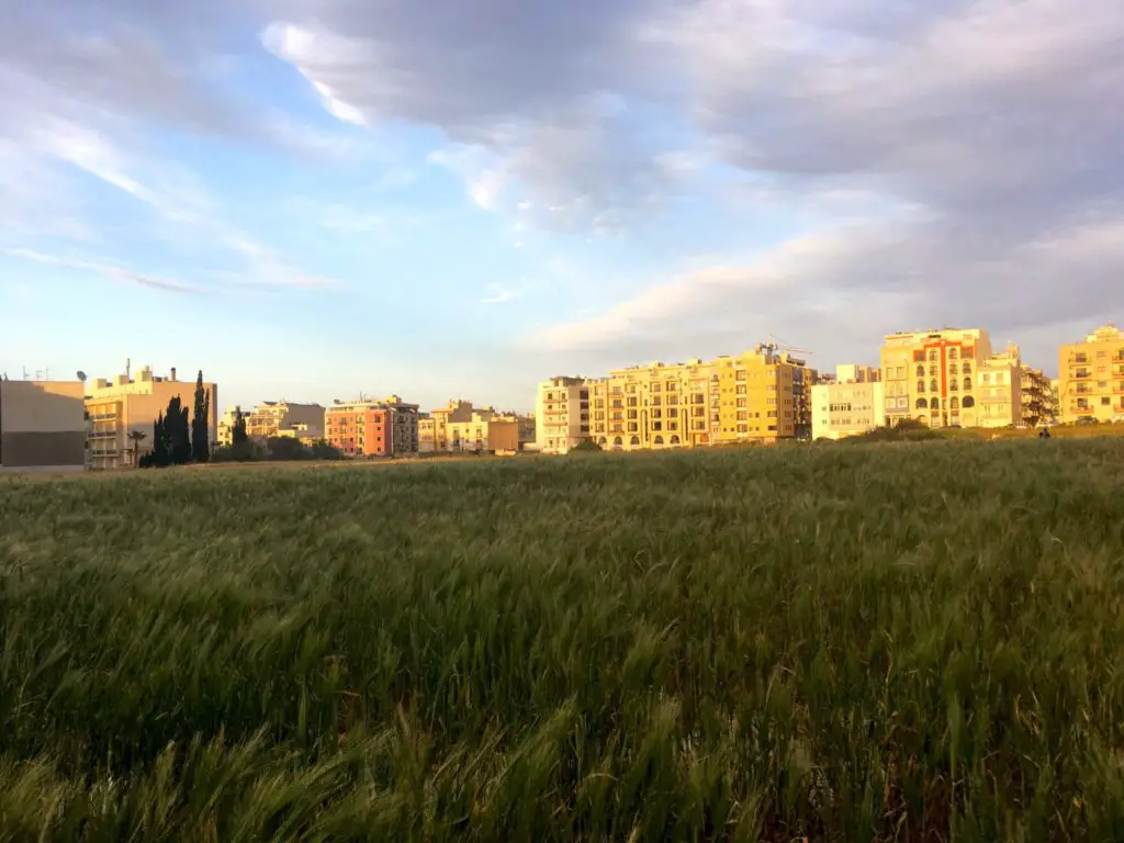 Bugibba Park Malta