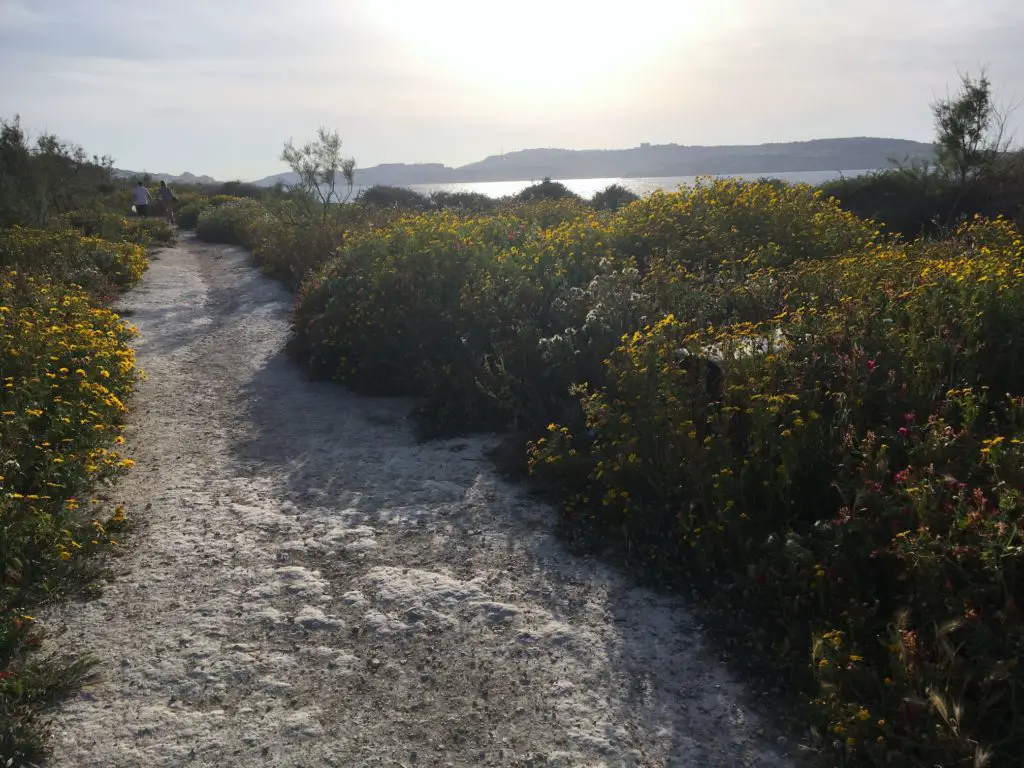 Malta nature