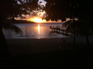 Mangrove Bight Roatan