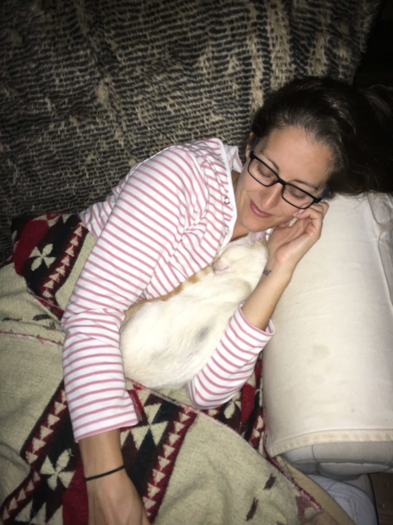 Amanda Walkins napping with a kitten housesitter and petsitter