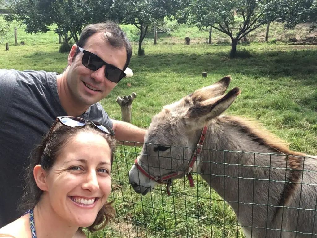 Jonathan Clarkin and Amanda Walkins with the neighbor's donkey while housesitting in Spain