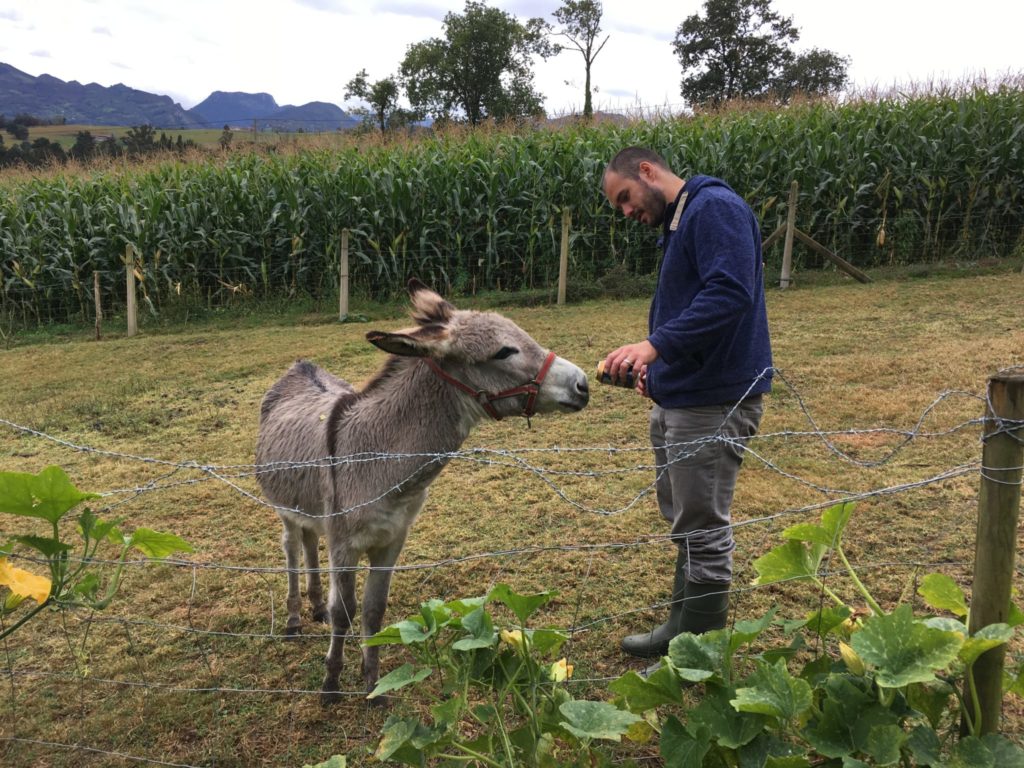 Jonathan Clarkin sharing a drink with a donkey