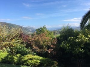 View of the Picos de Europa from our front door in Asturias Spain