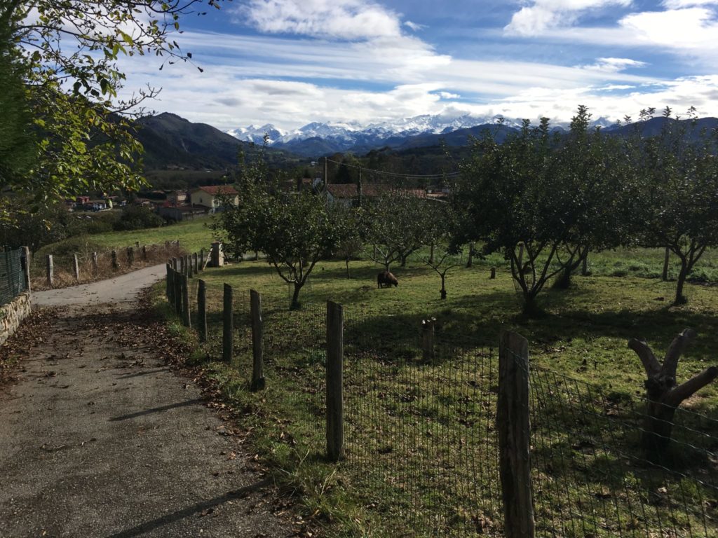 Views from Asturias Spain Amanda Walkins house and pet sitter