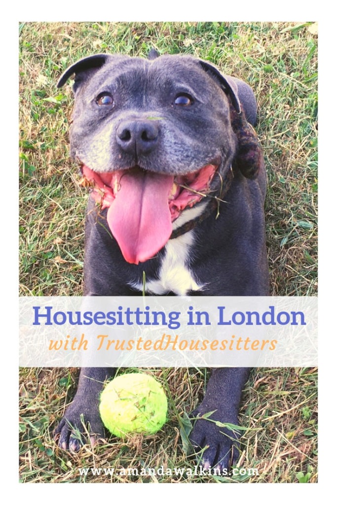 Amanda Walkins is an experienced house and pet sitter with TrustedHousesitters. Read more about her housesitting gigs in London, England!