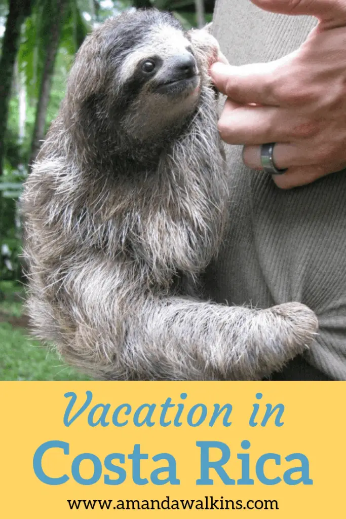 A baby sloth hangs onto a guide at a Costa Rica sanctuary