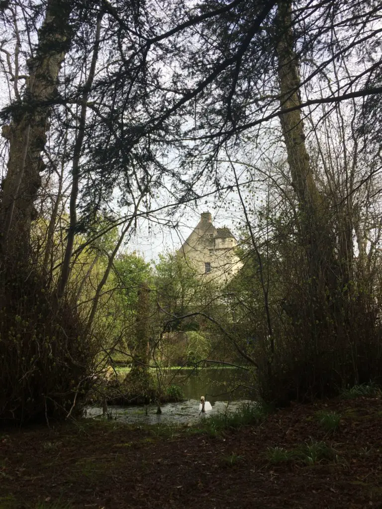 Day trips from Edinburgh to the Scottish Borders -- Traquair House grounds and woods with a swan swimming toward us