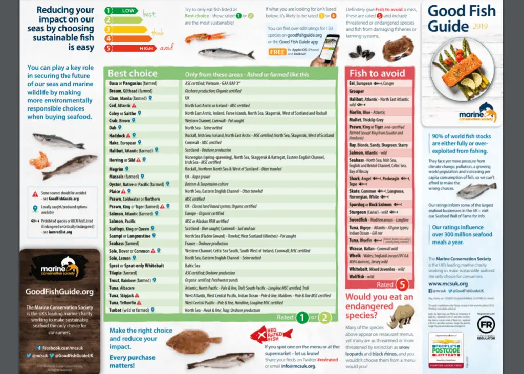 MSC Good Fish Guide what fish to eat and what to avoid for conservation and sustainability
