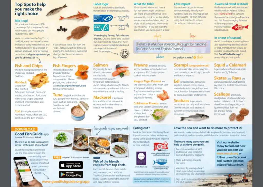 Tips for choosing the right fish to eat and the fish to avoid for sustainability and conservation