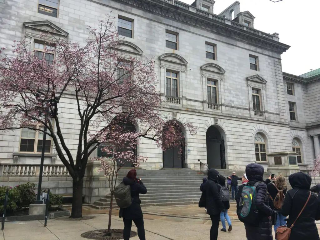 City Hall in Portland Maine with flowering tree in front