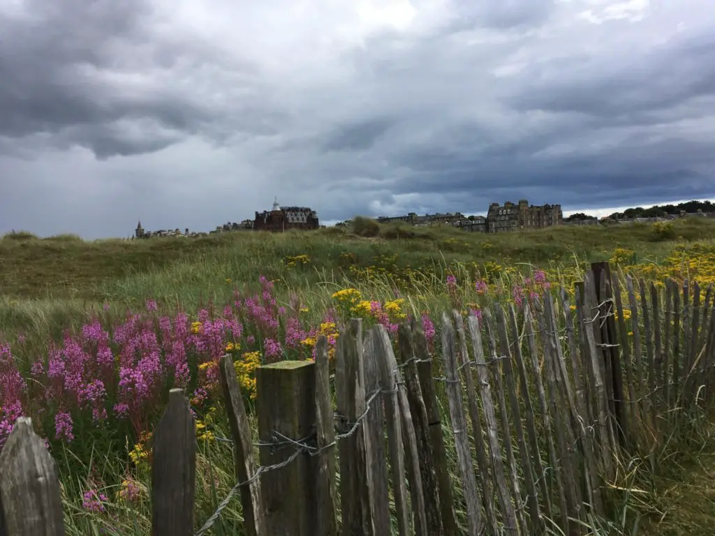 St Andrews dunes