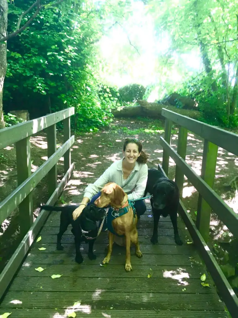 Amanda Walkins with 3 dogs on a wooded path in Edinburgh