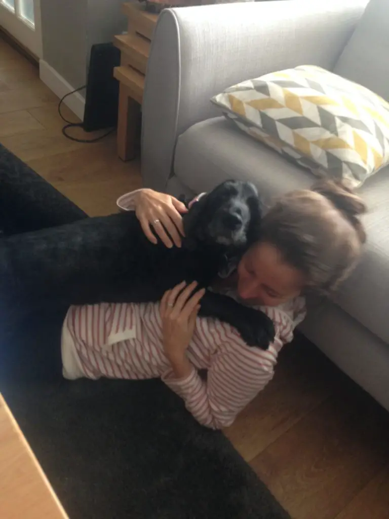 Amanda Walkins house sitter being hugged by a cocker spaniel