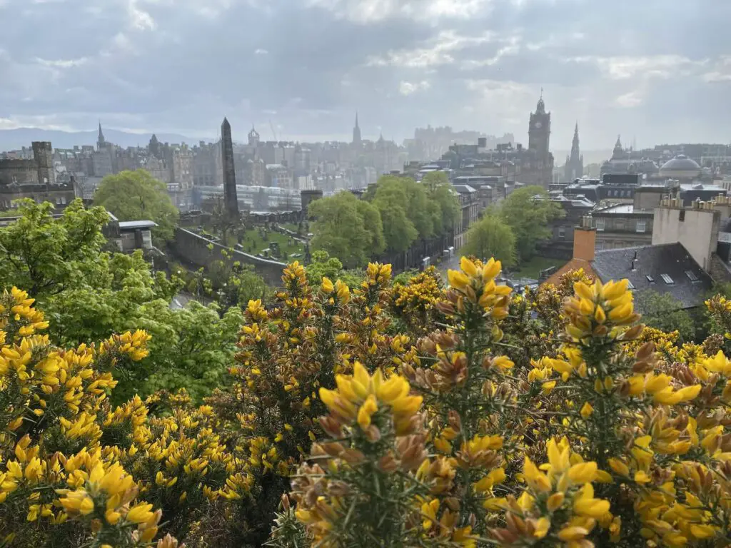 Edinburgh centre skyline from Calton Hill