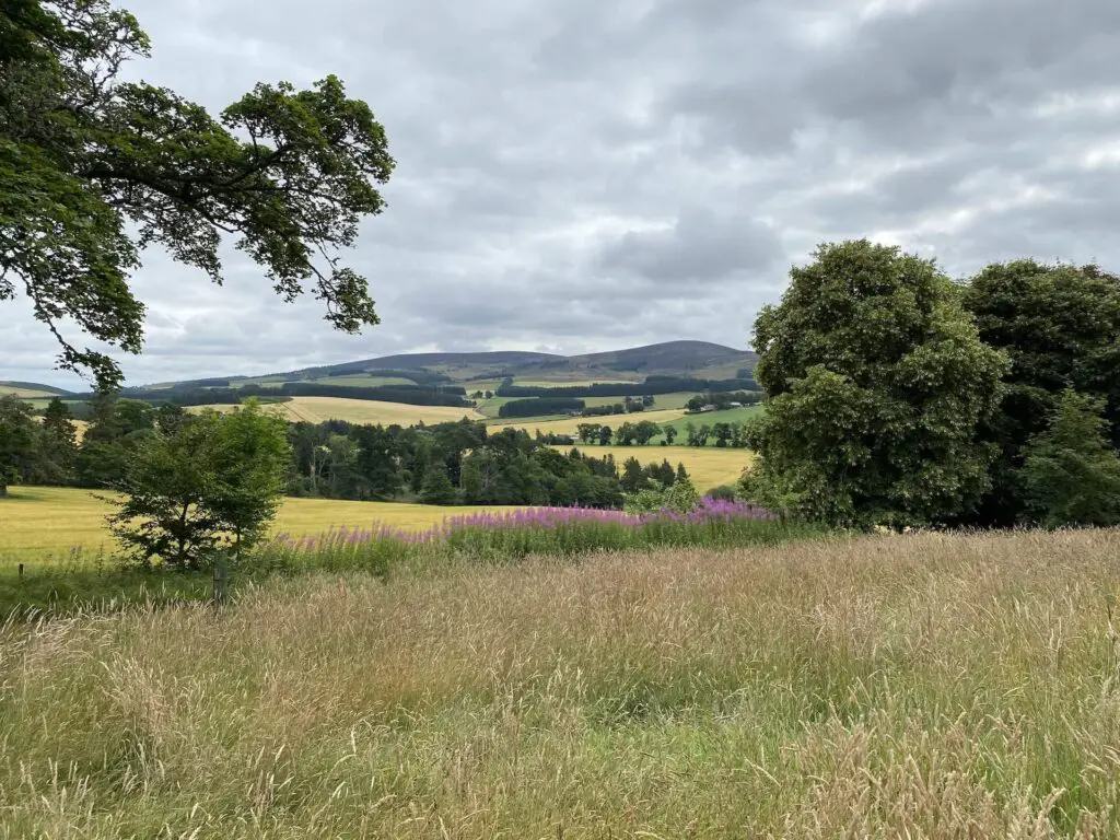 Rural view in Aberdeenshire with rolling farm fields and hills beyond