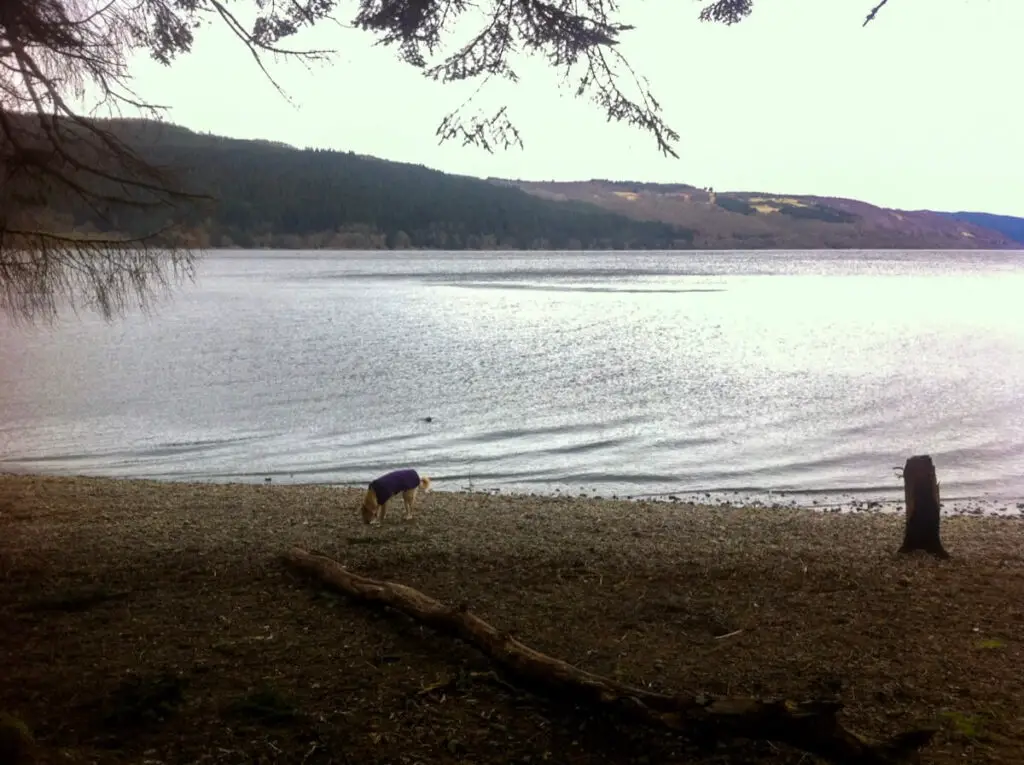 Lina on the beach by Loch Ness Scotland