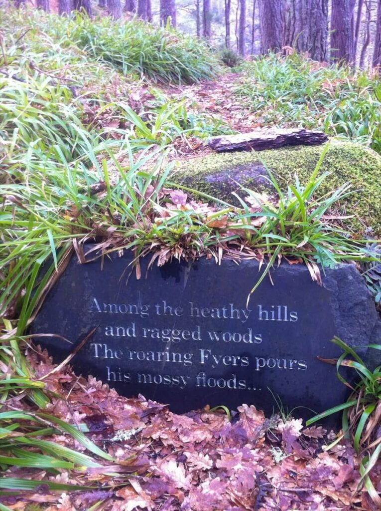 Poetry in the Foyers Scotland woods